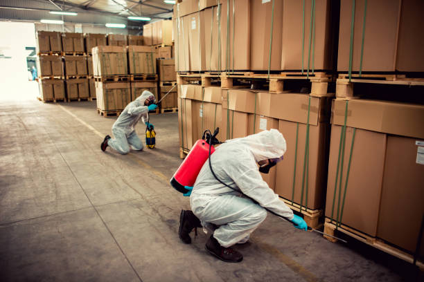 Pest Prevention Services in Port Barre, LA