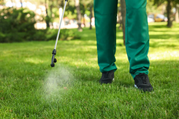 Best Pest Removal Services  in Port Barre, LA