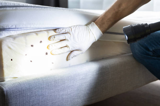 Best Commercial Pest Control Services  in Port Barre, LA