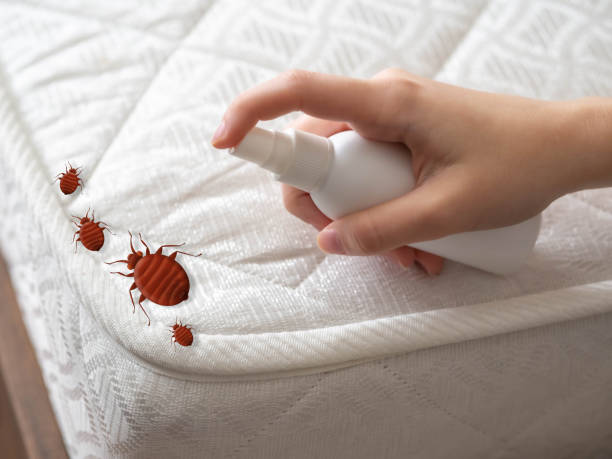 Best Mosquito Control Services  in Port Barre, LA