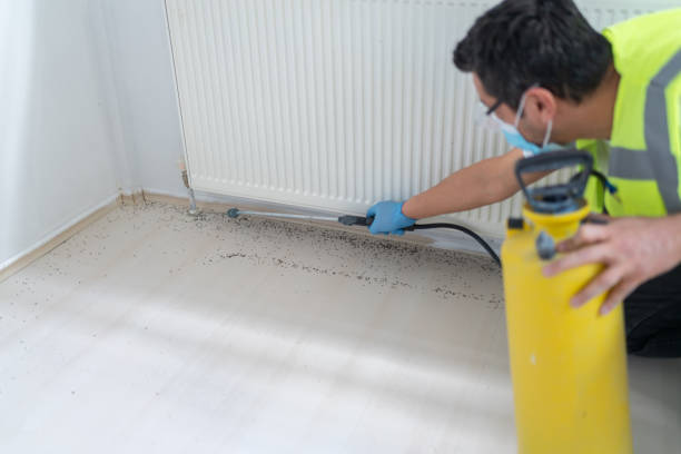Best Bed Bug Extermination  in Port Barre, LA