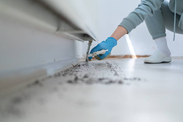 Port Barre, LA Pest Control Company